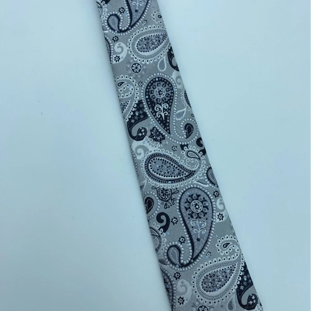 Bergamo Men’s Tie Gray‎ Silver & Paisley